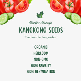 Chickco Kangkong seeds demonstrate high germination for fast, reliable sprouting.