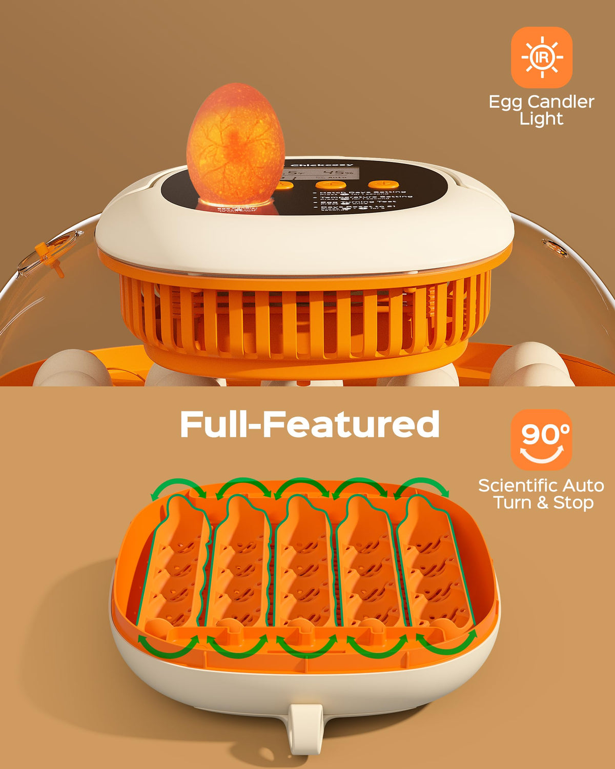 Chickcozy 360-degree dome view for family-friendly watching of chicks.