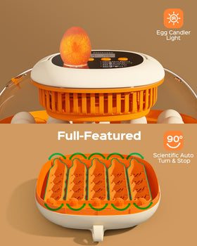 Chickcozy 360-degree dome view for family-friendly watching of chicks.
