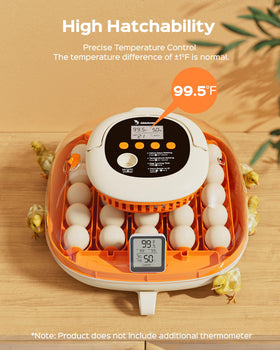 Chickcozy 25-egg incubator with digital thermometer for precise climate control.