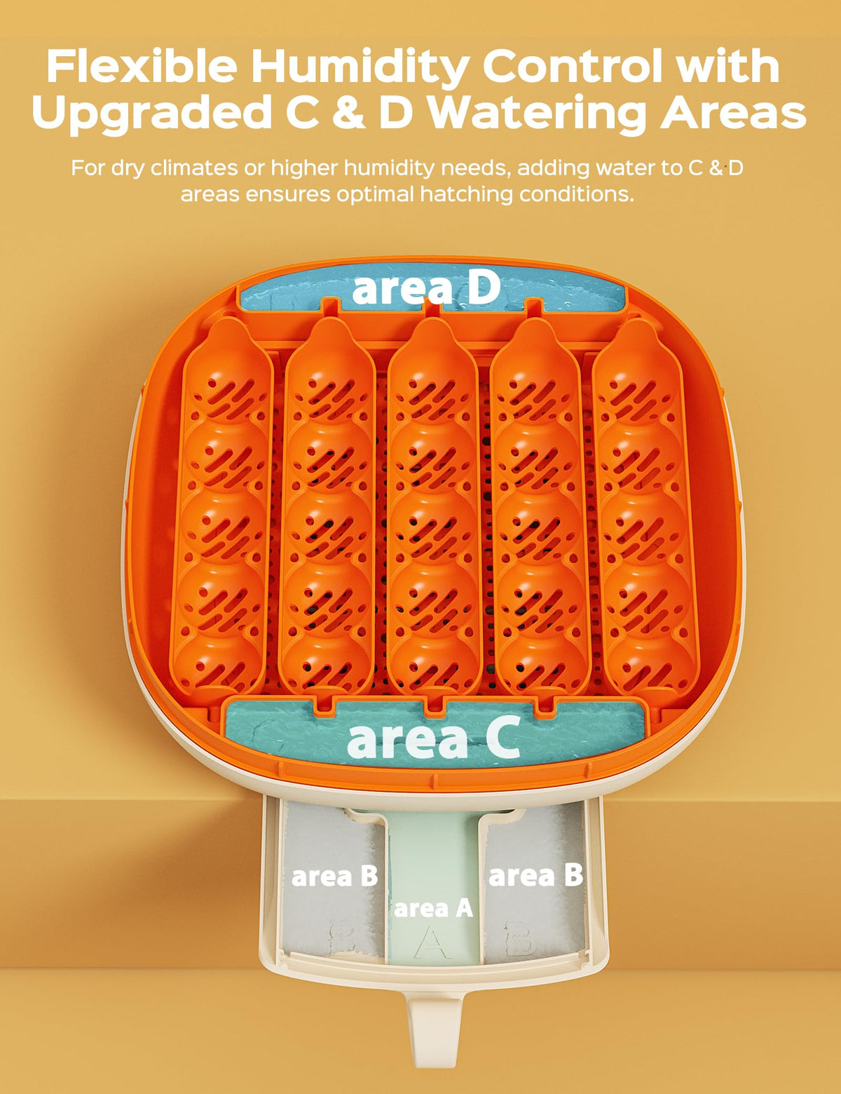 Chickcozy incubator humidity control with dual water trays for stable humidity.
