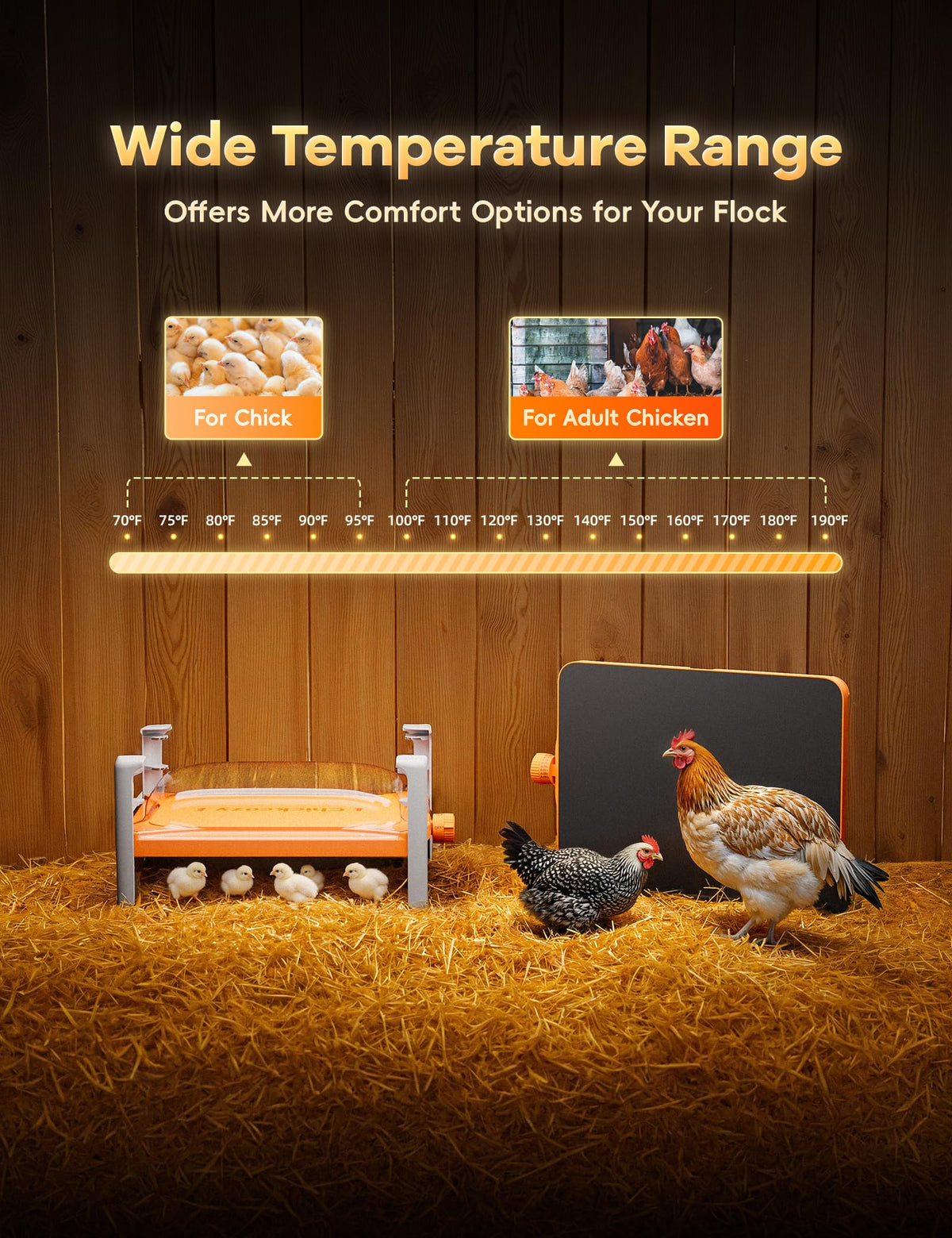 Chickcozy packaging box highlighting certifications