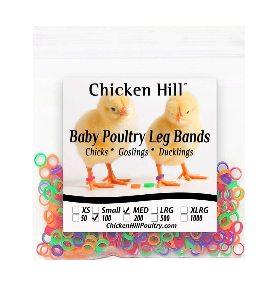 Chicken Hill Baby Poultry Leg Bands in 1/4 inch for quick breed identification.