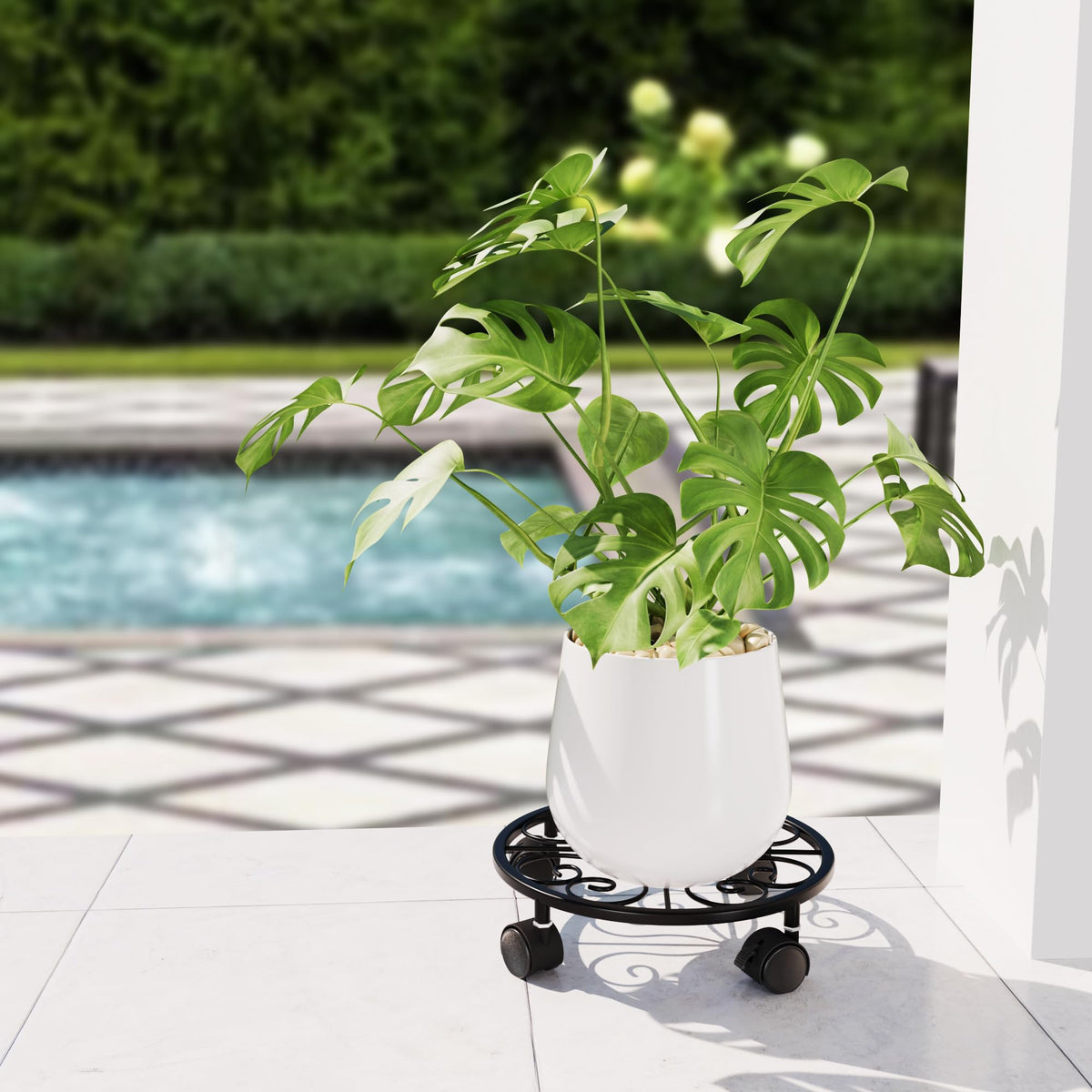 Two-pack Chinpakden plant caddy simplifies rearranging spaces.