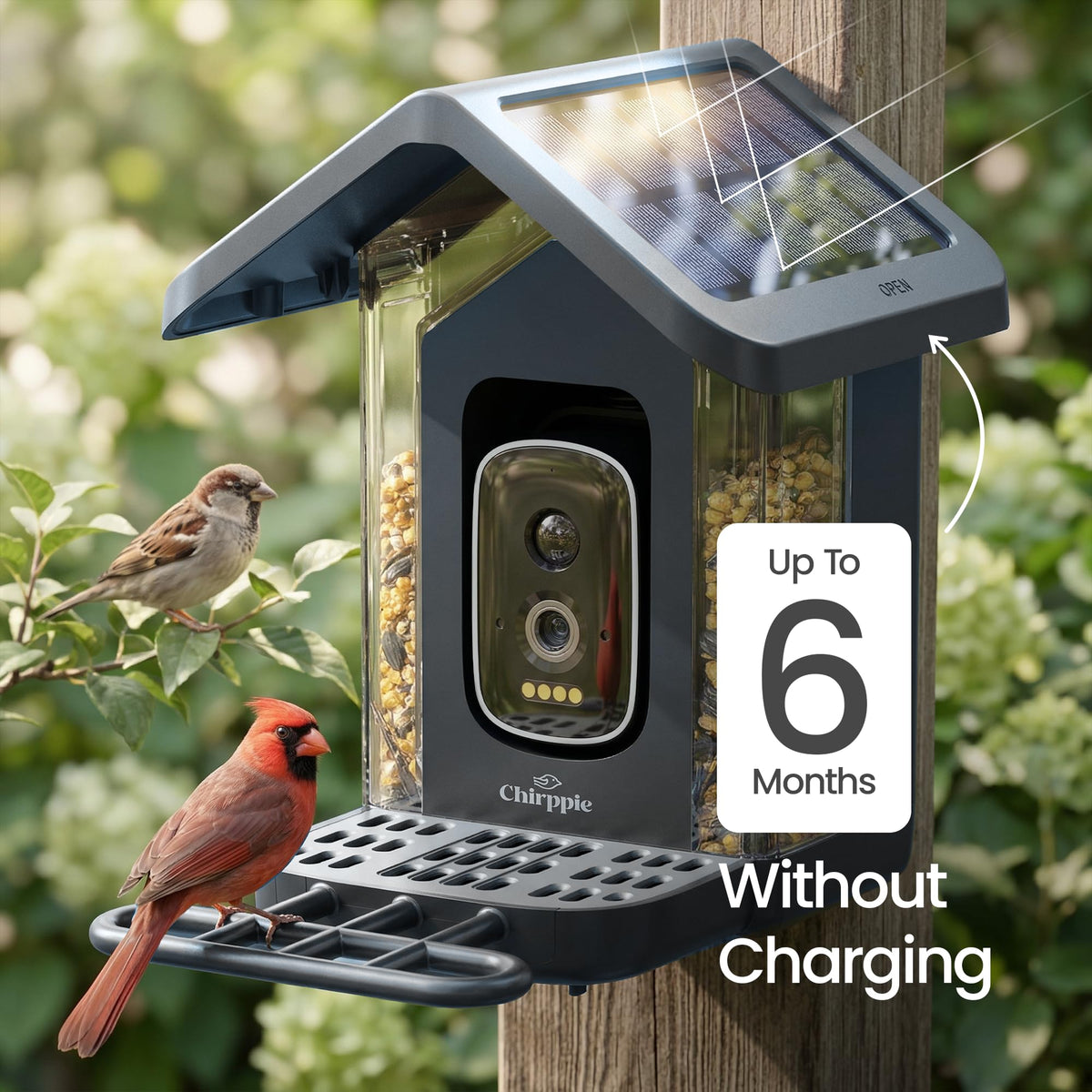 Chirppie quick 10-minute setup for wall or tree mounting.
