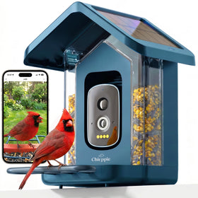 Chirppie solar bird feeder camera delivers real-time 2K video for backyard birdwatching.