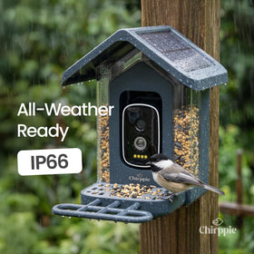 Chirppie 2.4 GHz WiFi enables seamless live feed and alerts.