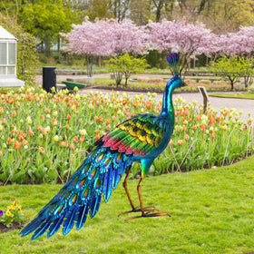 Chisheen colorful metal peacock garden ornament adds lively color.