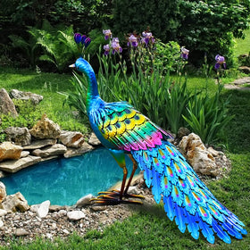 Chisheen metal peacock statue enhances outdoor decor with vibrant shine.