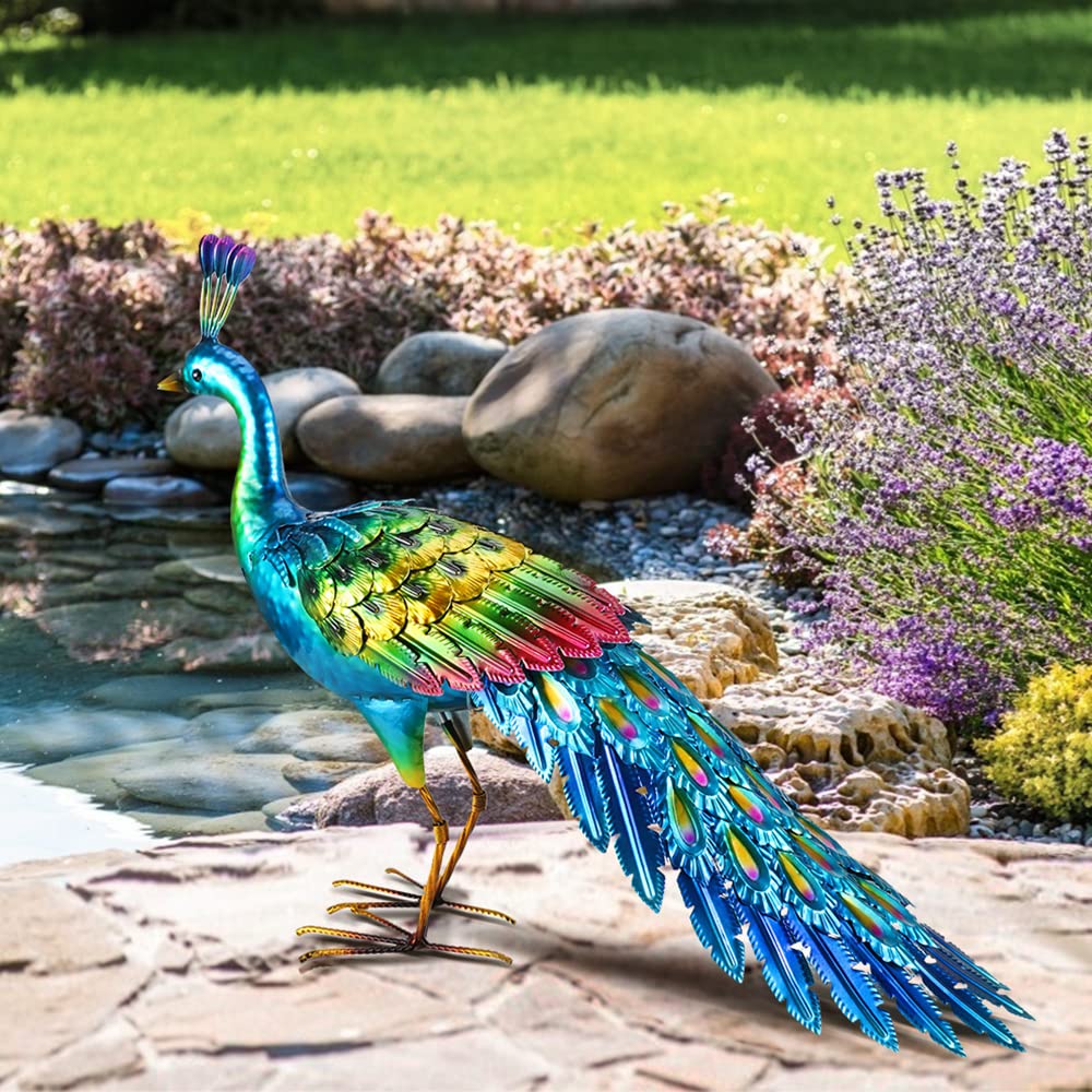 Chisheen peacock sculpture measures 24L-7W-18H for garden placement.