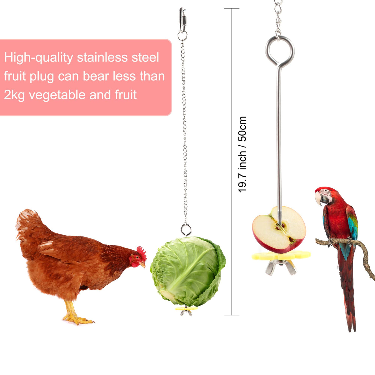 CHNB fruit rack for easy, organized snack access in the coop
