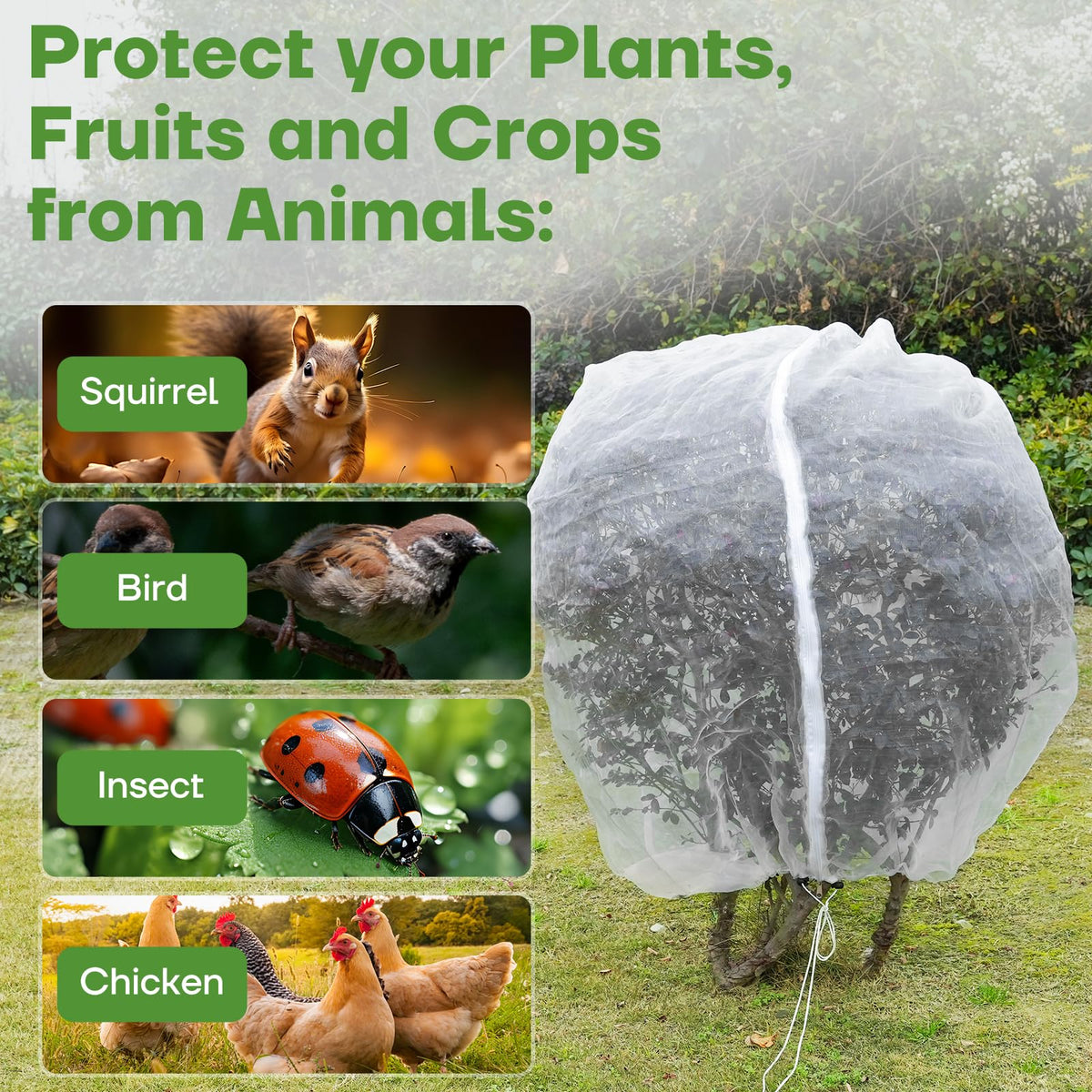 CHNENOMME breathable mesh lets water and sunlight through while keeping pests out