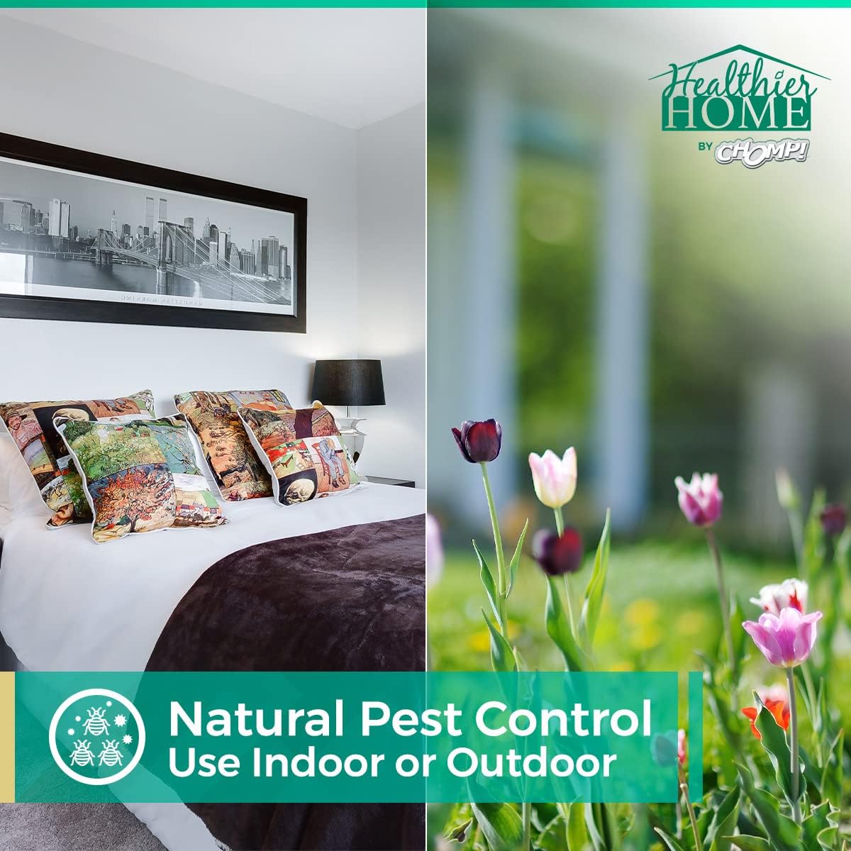 CHOMP! mattress application demonstrates on-contact insect control.
