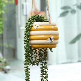 Chonsun bee-pattern hanging planter adds charm to indoor corners