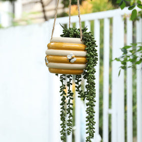 Chonsun corner decor planter creates a charming display