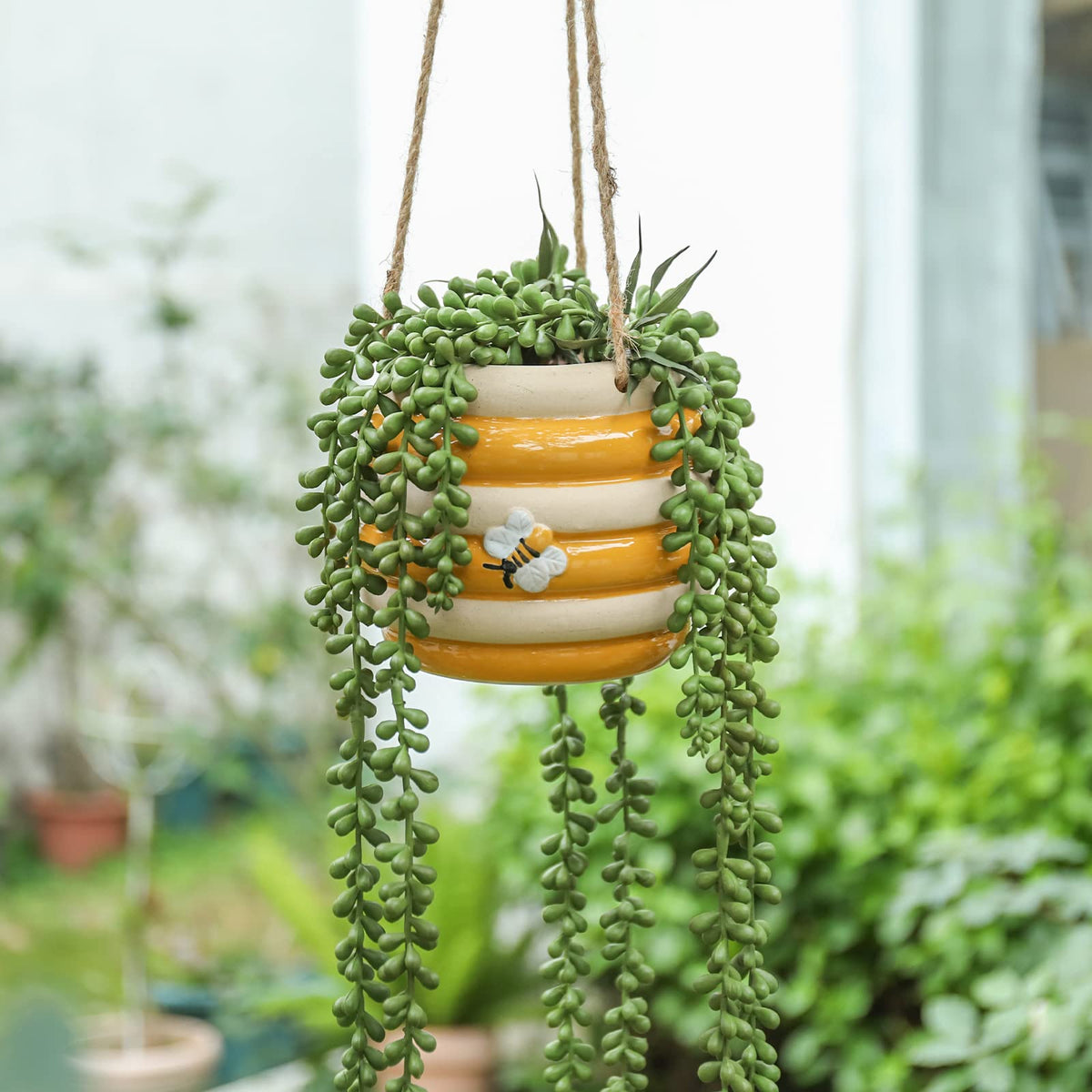 Chonsun gift-ready planter ideal for plant lovers