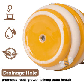 Chonsun indoor-outdoor planter suitable for many spaces