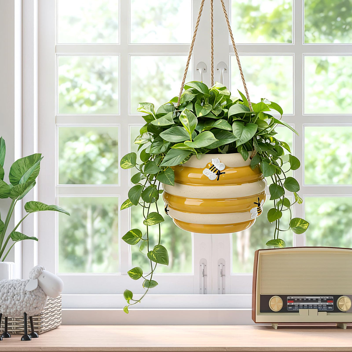 Chonsun succulent-friendly planter supports easy care