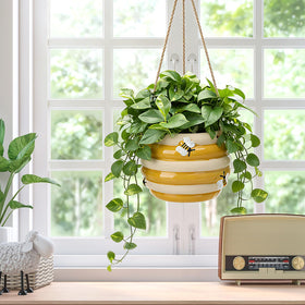 Chonsun succulent-friendly planter supports easy care