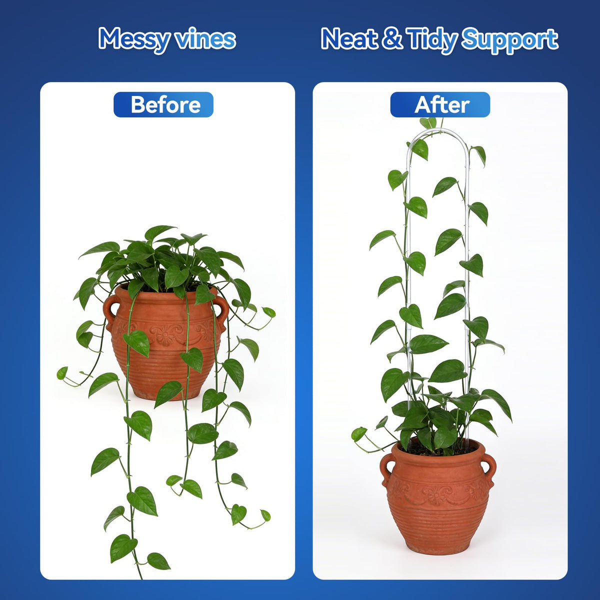CHOUYUHE grip grooves prevent slipping for secure plant support configurations