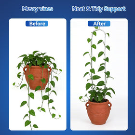 CHOUYUHE grip grooves prevent slipping for secure plant support configurations
