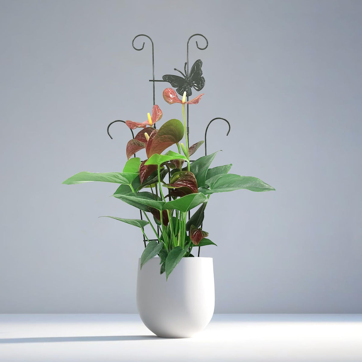 Indoor-outdoor CHOUYUHE plant support works with pothos, ivy, and climbing varieties.