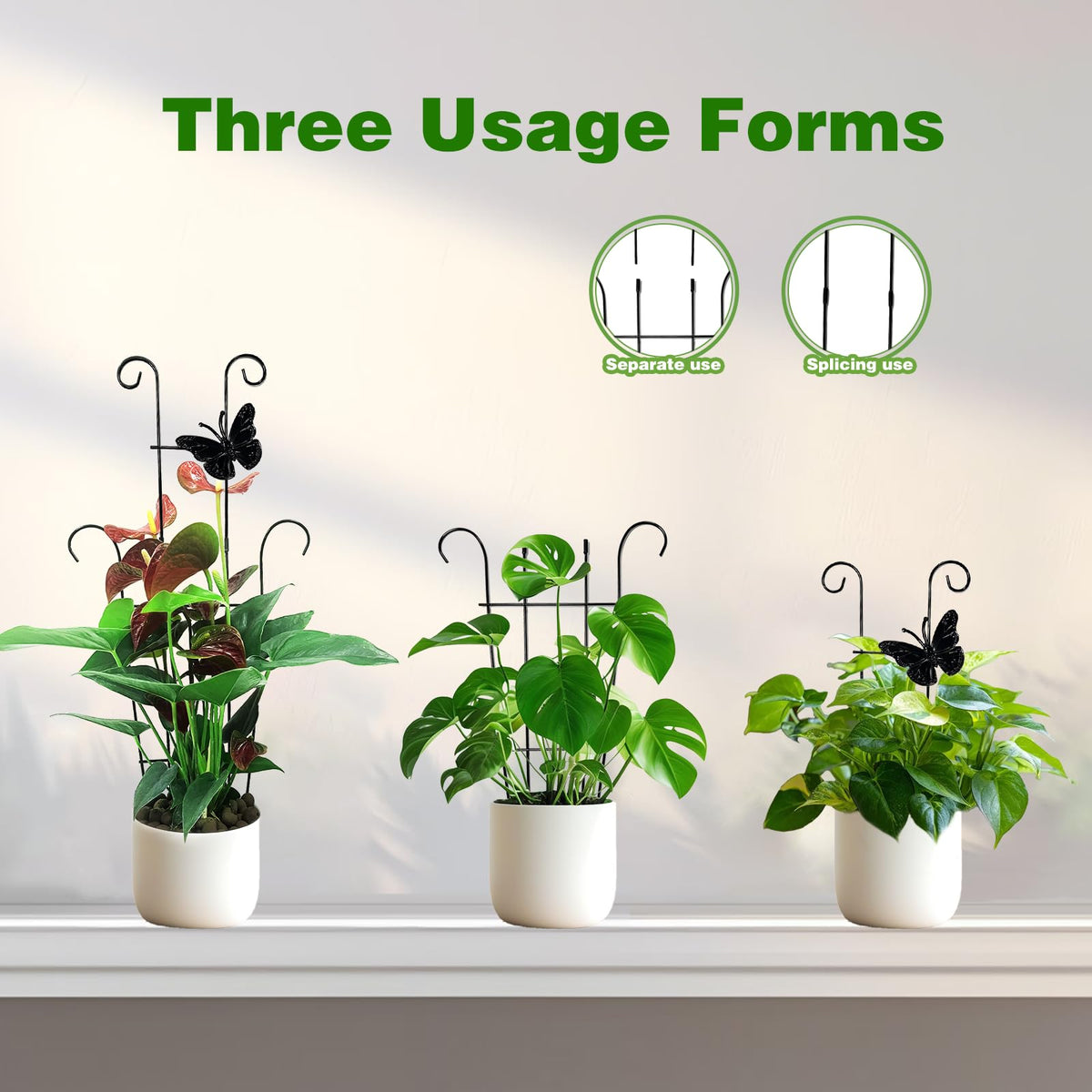 Monstera and pothos climbing with CHOUYUHE trellis provides neat, organized support.