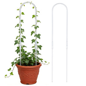 CHOUYUHE U-shaped clear acrylic plant support appears nearly invisible on climbing vines