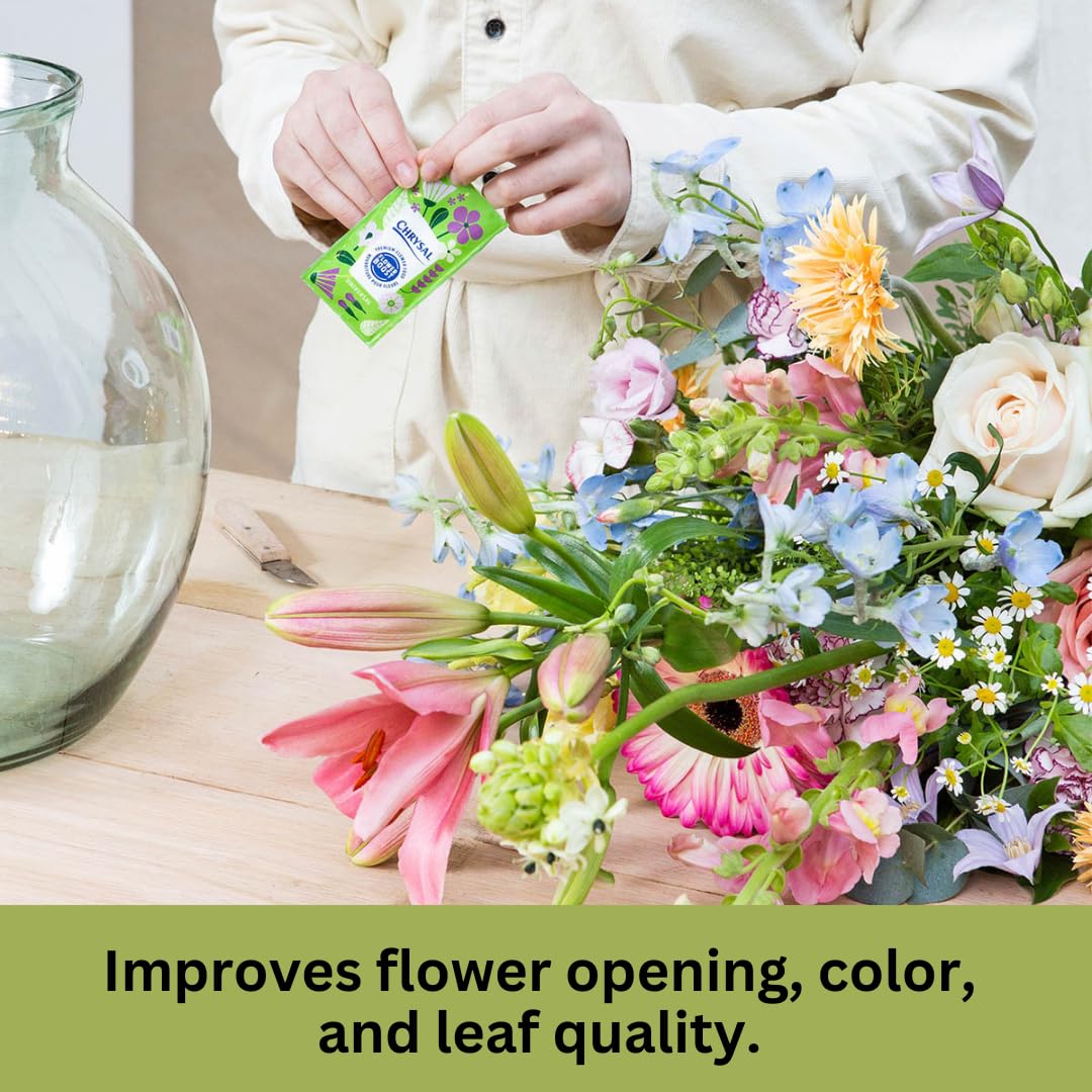 Chrysal bouquet displays firmer stems and vibrant color.