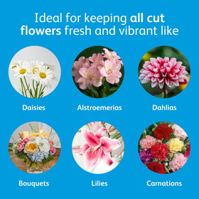 Chrysal Flower Boost in a vase with fresh bouquet.