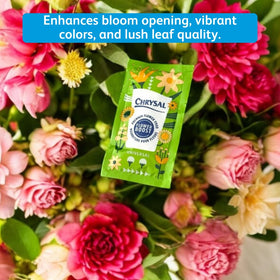 Chrysal Flower Boost box of 100 packets for florists.