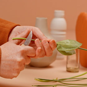 Chrysal Flower Boost easy-to-use sachet for home use
