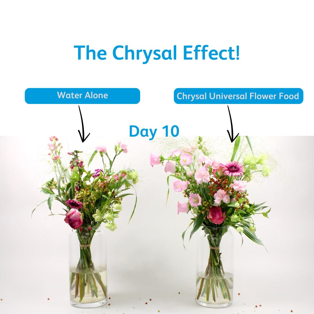 Chrysal Flower Boost ready-to-use mix for all flowers.