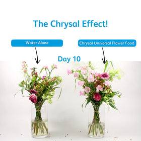 Chrysal Flower Boost ready-to-use mix for all flowers.