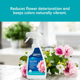 Chrysal Glory Finish bouquet spray in action on fresh blooms.
