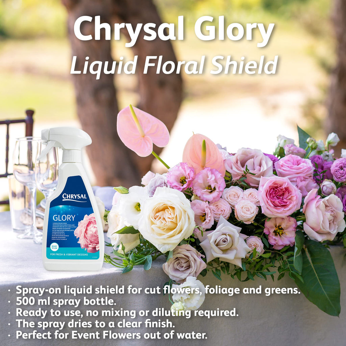 Mist on blooms with Chrysal Glory to reduce evaporation and maintain color