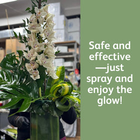 Ideal for florists and events to enhance arrangements