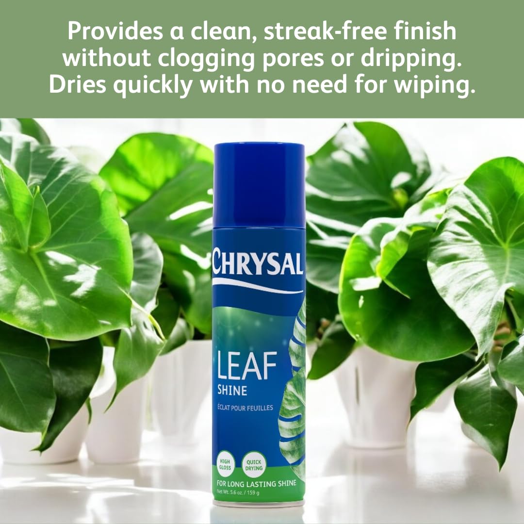 Chrysal Leaf Shine sprayed from distance for even coverage and shine