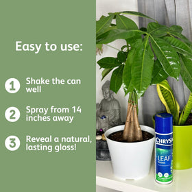Protective shine layer helping bouquets look fresh longer