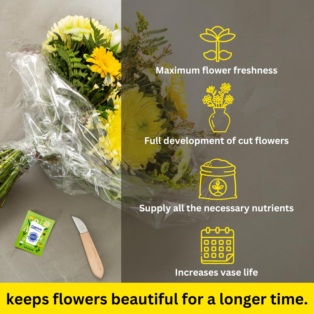 Chrysal Flower Boost packaging close-up showing easy dosing for florists.