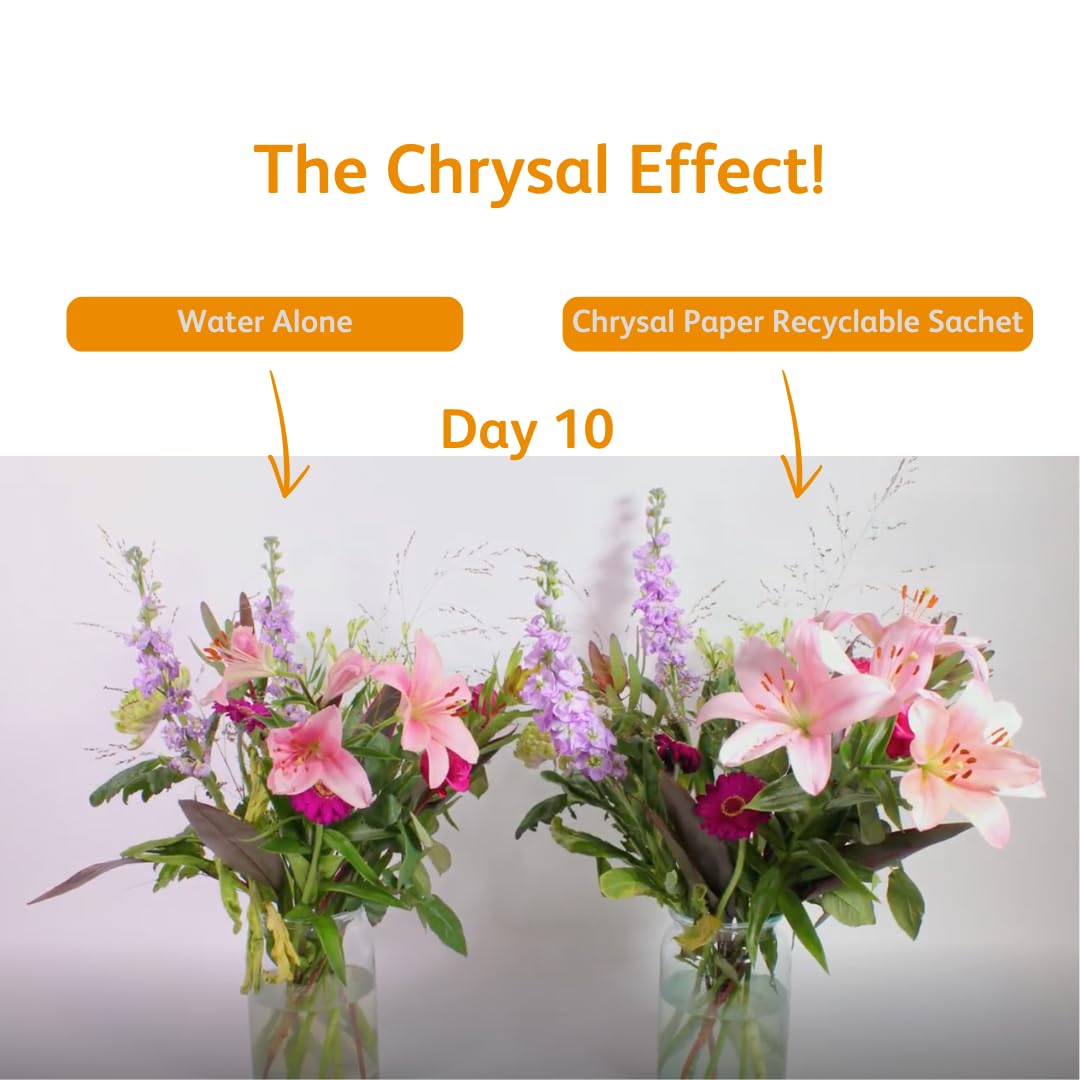Chrysal recycling friendly packaging highlights sustainable materials