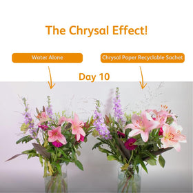 Chrysal recycling friendly packaging highlights sustainable materials
