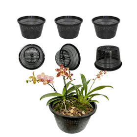 CHTASO pond use basket shown in a water garden setting
