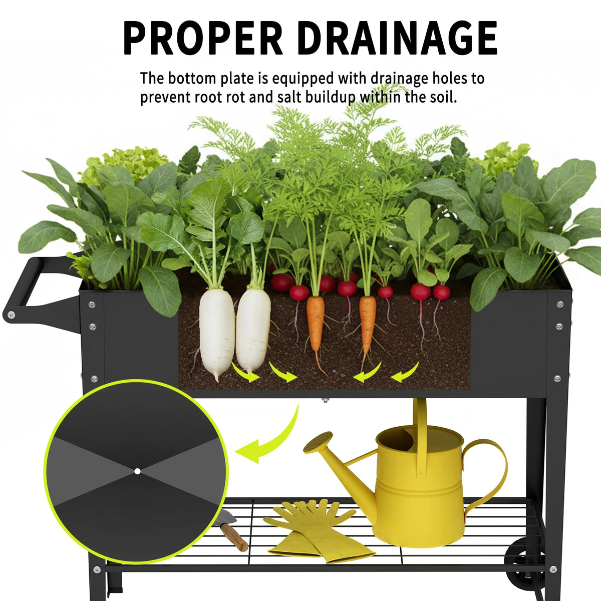 Chuangshuo Guard Elevate dual drainage system keeps roots healthy during rain.