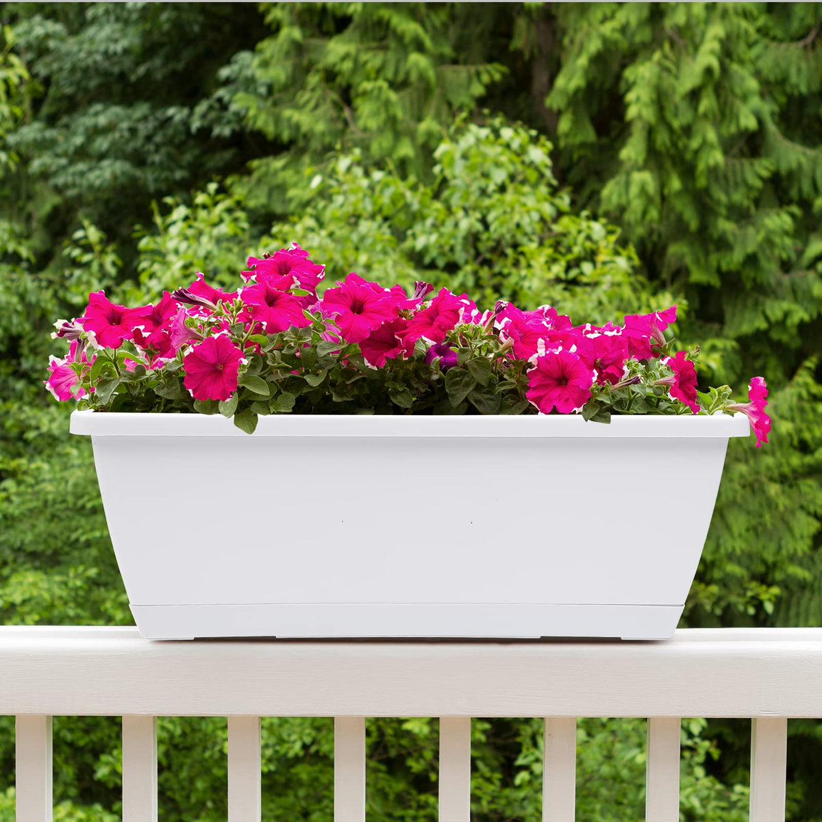 CHUKEMAOYI window box planter with attached saucer prevents overwatering on surfaces.