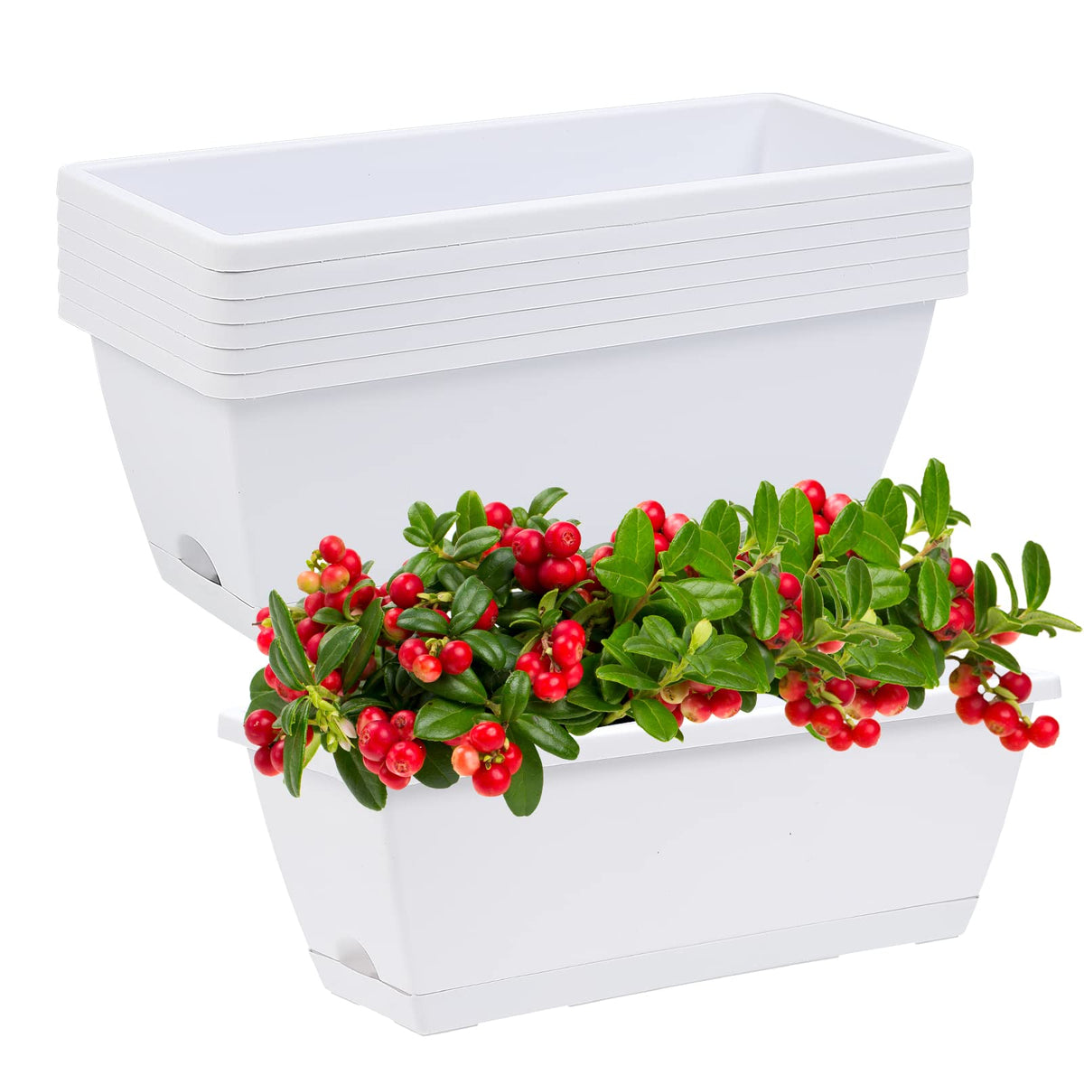 CHUKEMAOYI window box planter front view, ideal for herbs and flowers on a sunny windowsill.