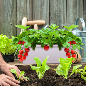CHUKEMAOYI white window box planter enhances indoor-outdoor decor.