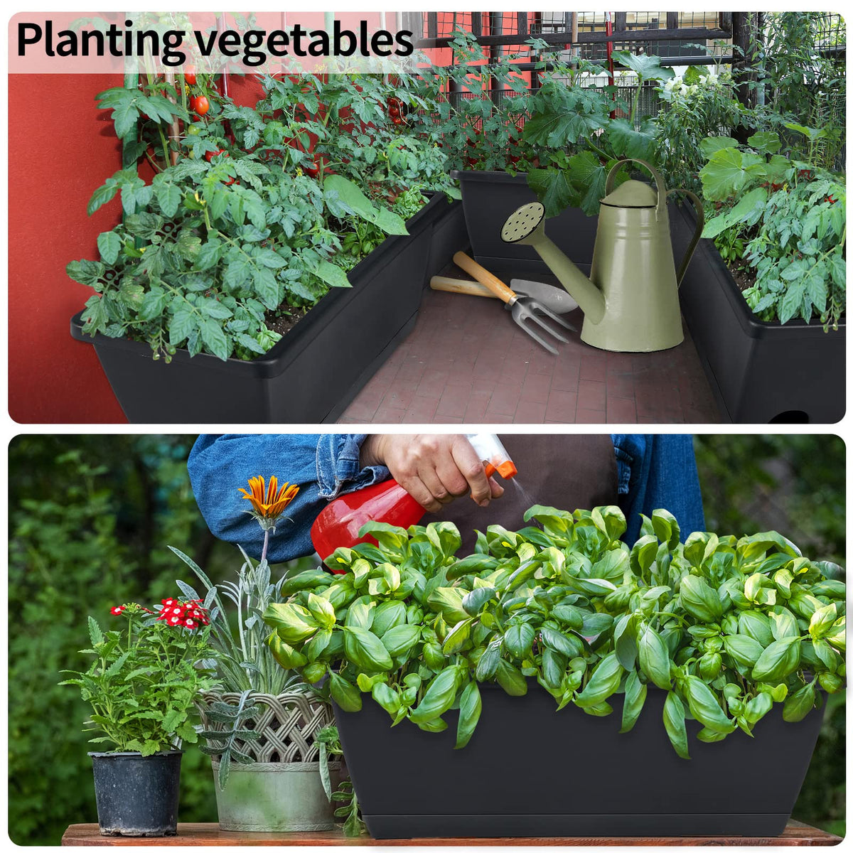 CHUKEMAOYI window box planter suitable for indoor and outdoor displays.