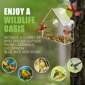 Chunhai Clear Window Feeder mounted on window enables year-round observation.