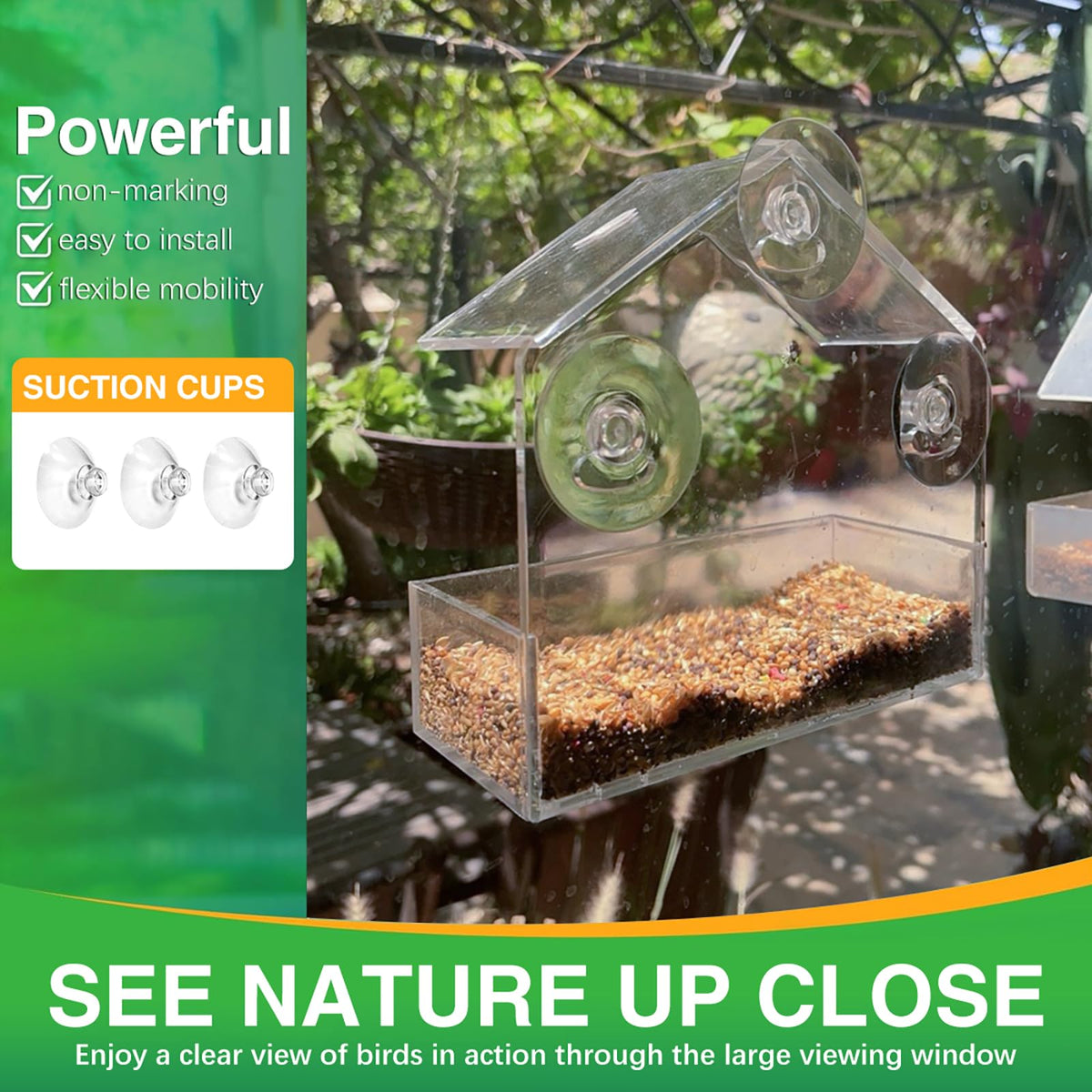 Chunhai Clear Window Feeder top view reveals unobstructed feed access.